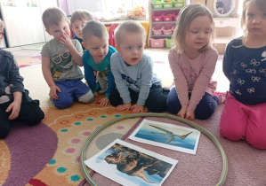 Dzieci oglądają ilustracje dinozurów umieszczone w hula hop