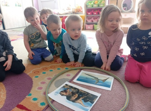 Zabawy z dinozaurami w 1 grupie