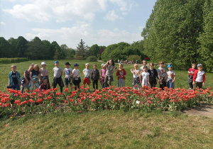 grupa piąta z czerwonymi tulipanami