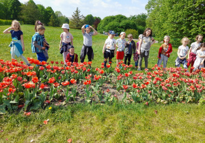 grupa piąta wśród tulipanów