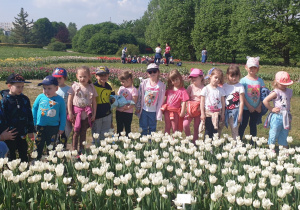 grupa druga w tulipanach