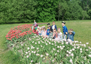 grupa trzecia w tulipanach