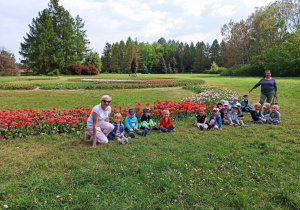 grupa pierwsza ogląda tulipany
